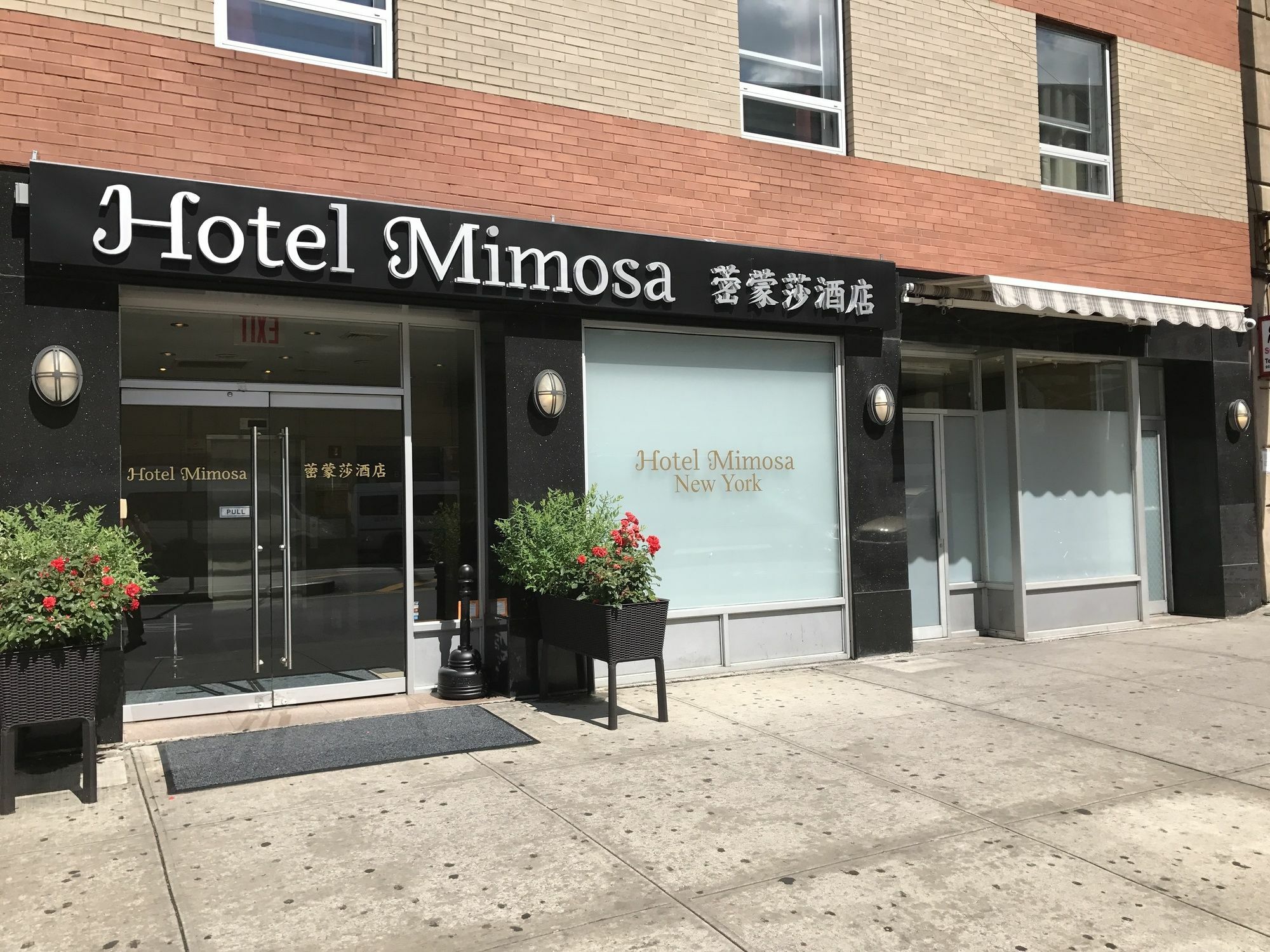 Hotel Mimosa New York Dış mekan fotoğraf